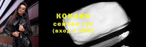 бошки Снежногорск