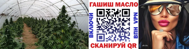 ТГК гашишное масло  купить  сайты  Красноуральск 